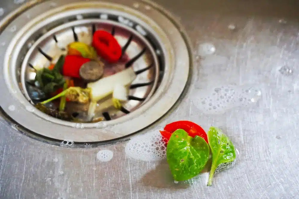 Food Waste On Kitchen Sink