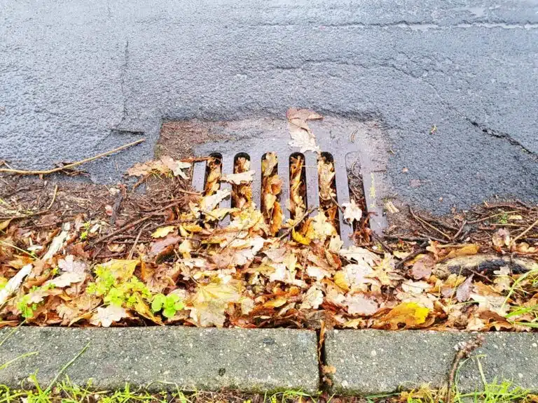 Stormwater Drain Blocked By Leaves