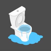 Toilet clogged isometry — Professional Blocked Drain Plumber, QLD