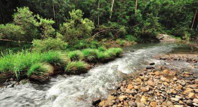 Australia Landscape river — Plumber in Nerang, QLD